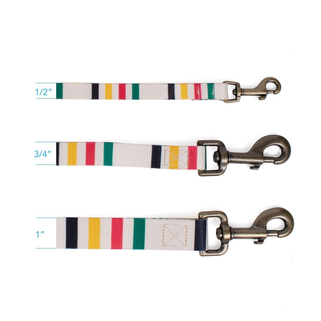 Pendleton National Park Adventure Leash - Paranoid Ranch