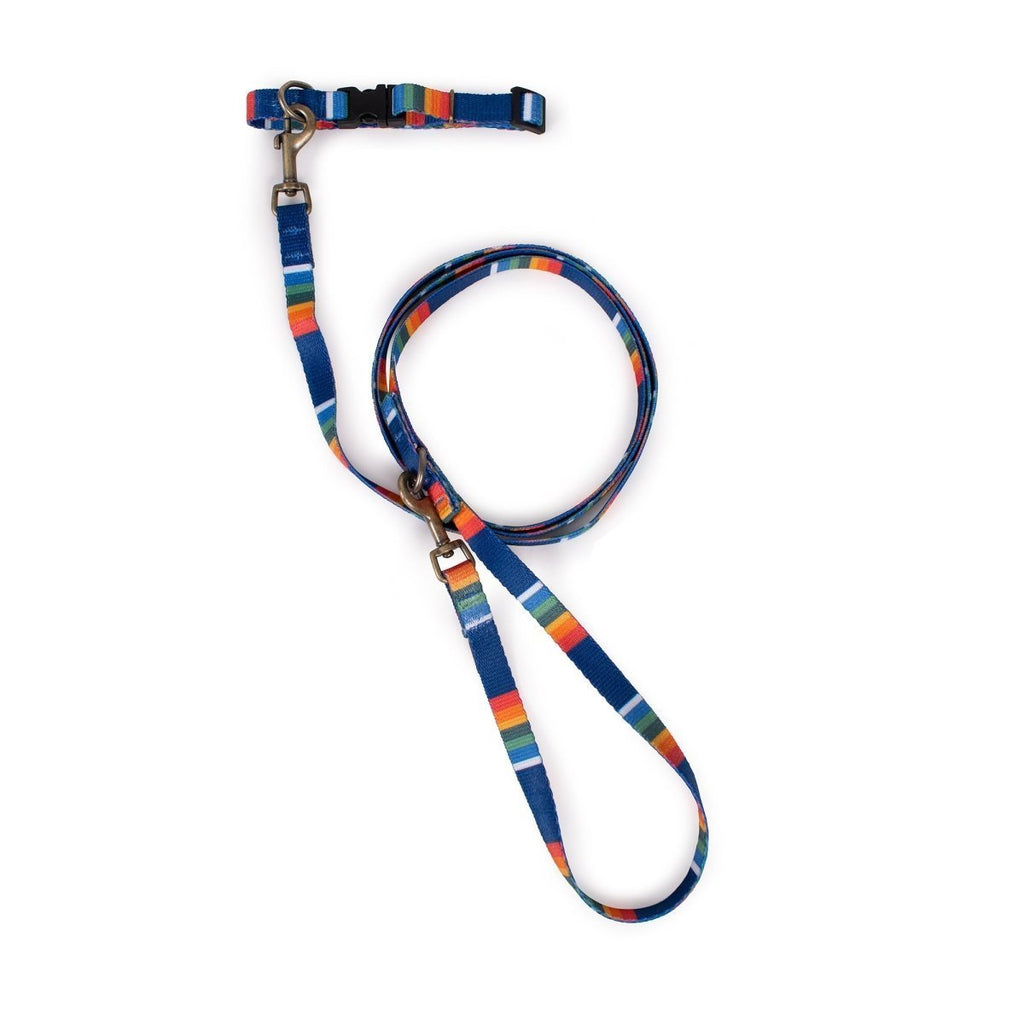 Pendleton National Park Adventure Leash - Paranoid Ranch