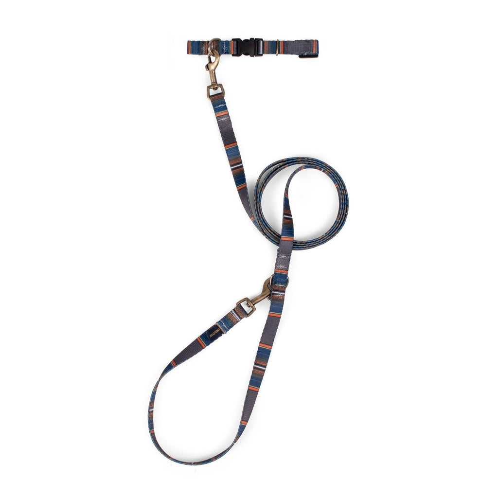 Pendleton National Park Adventure Leash - Paranoid Ranch