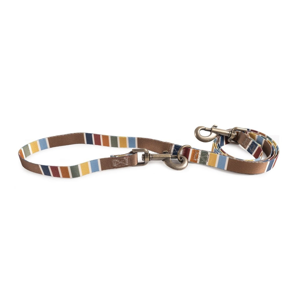 Pendleton National Park Adventure Leash - Paranoid Ranch