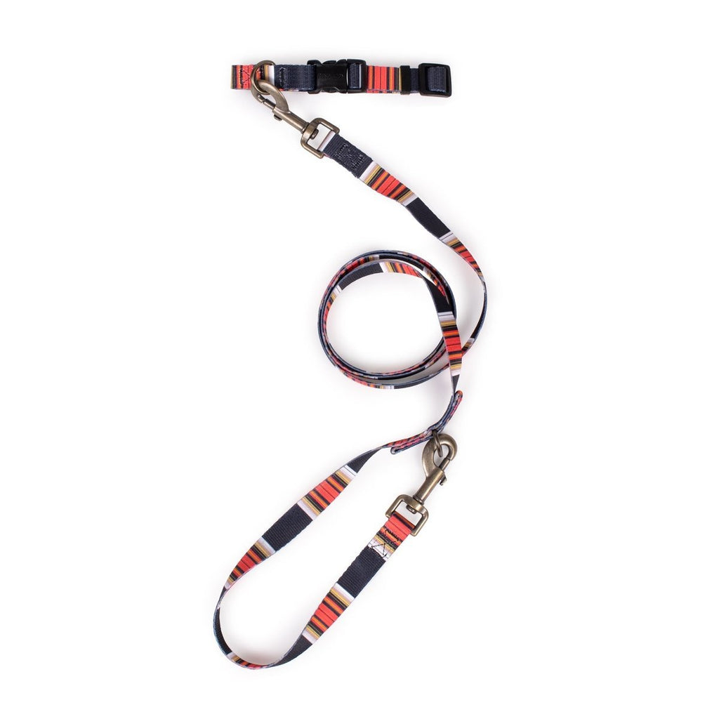 Pendleton National Park Adventure Leash - Paranoid Ranch
