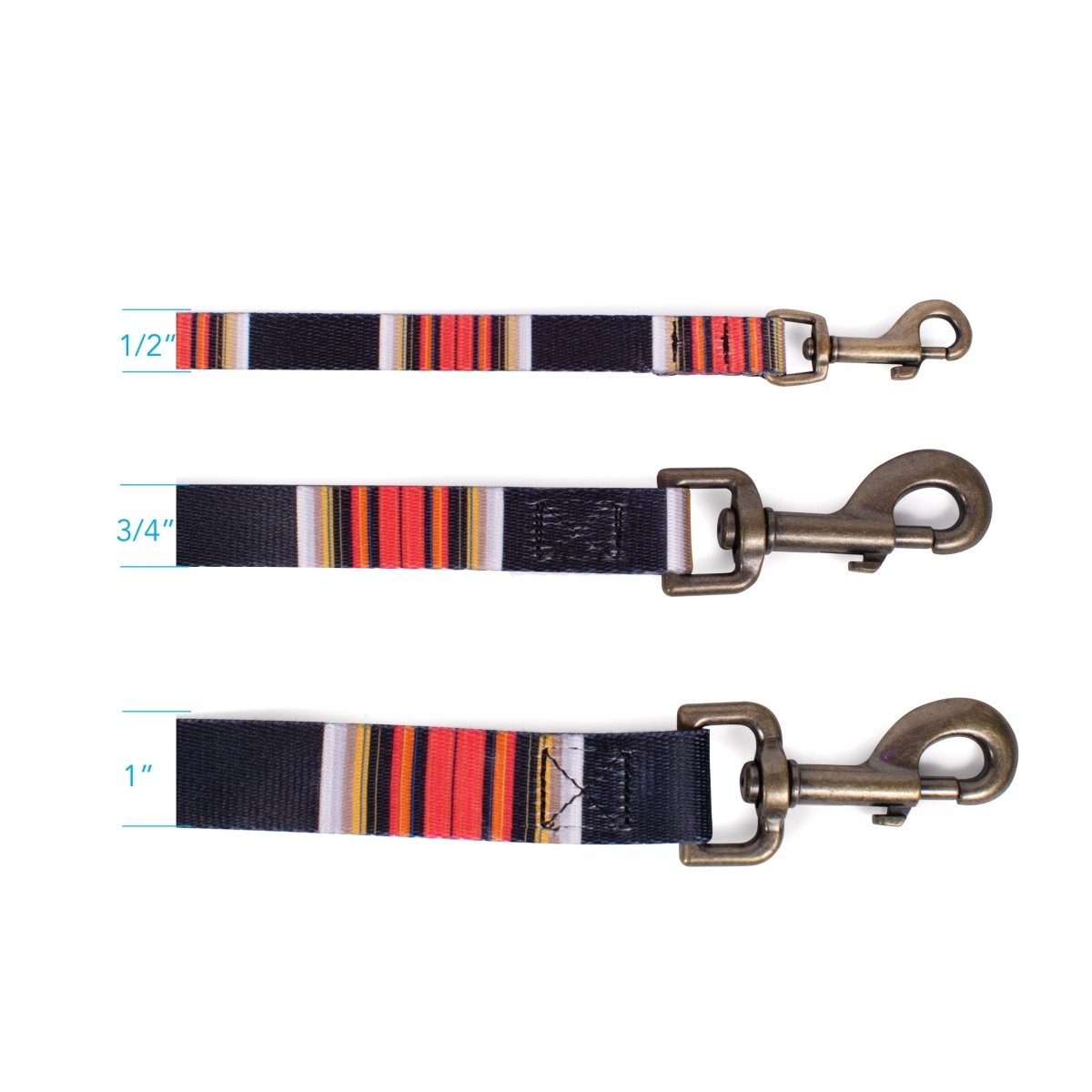 Pendleton National Park Adventure Leash - Paranoid Ranch