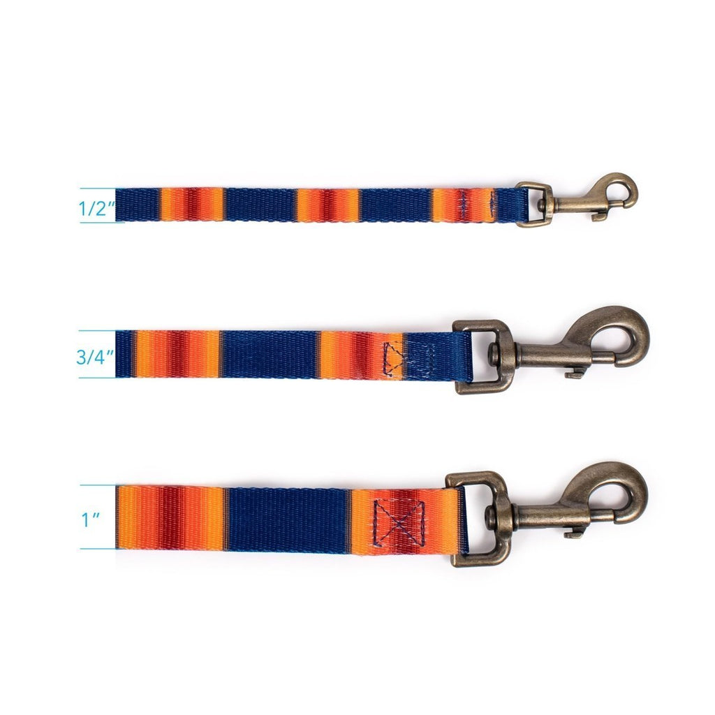 Pendleton National Park Adventure Leash - Paranoid Ranch