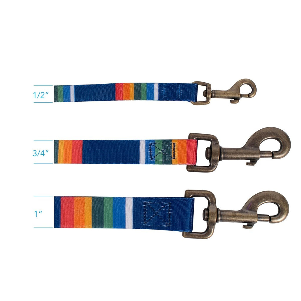 Pendleton National Park Adventure Leash - Paranoid Ranch