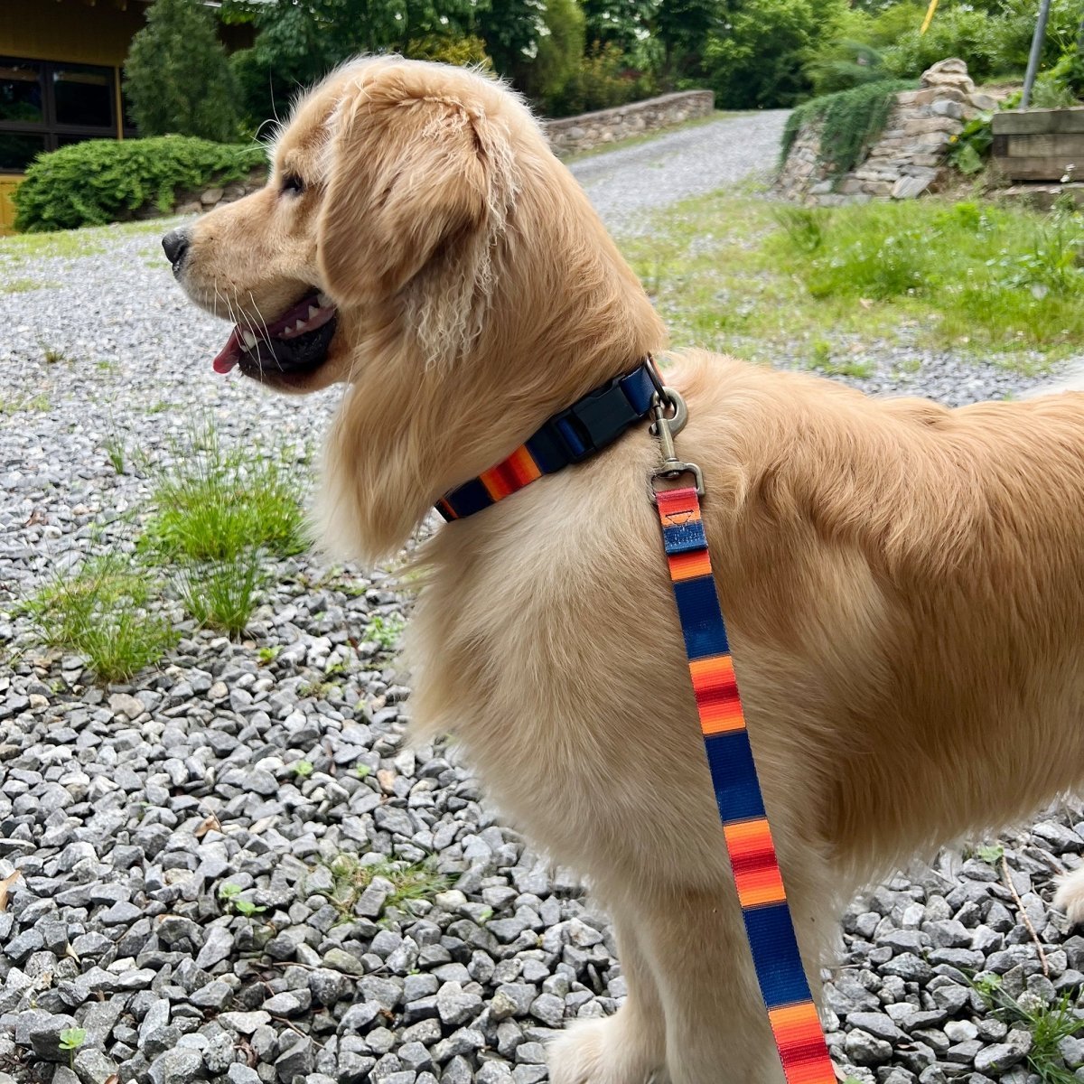 Pendleton National Park Adventure Leash - Paranoid Ranch