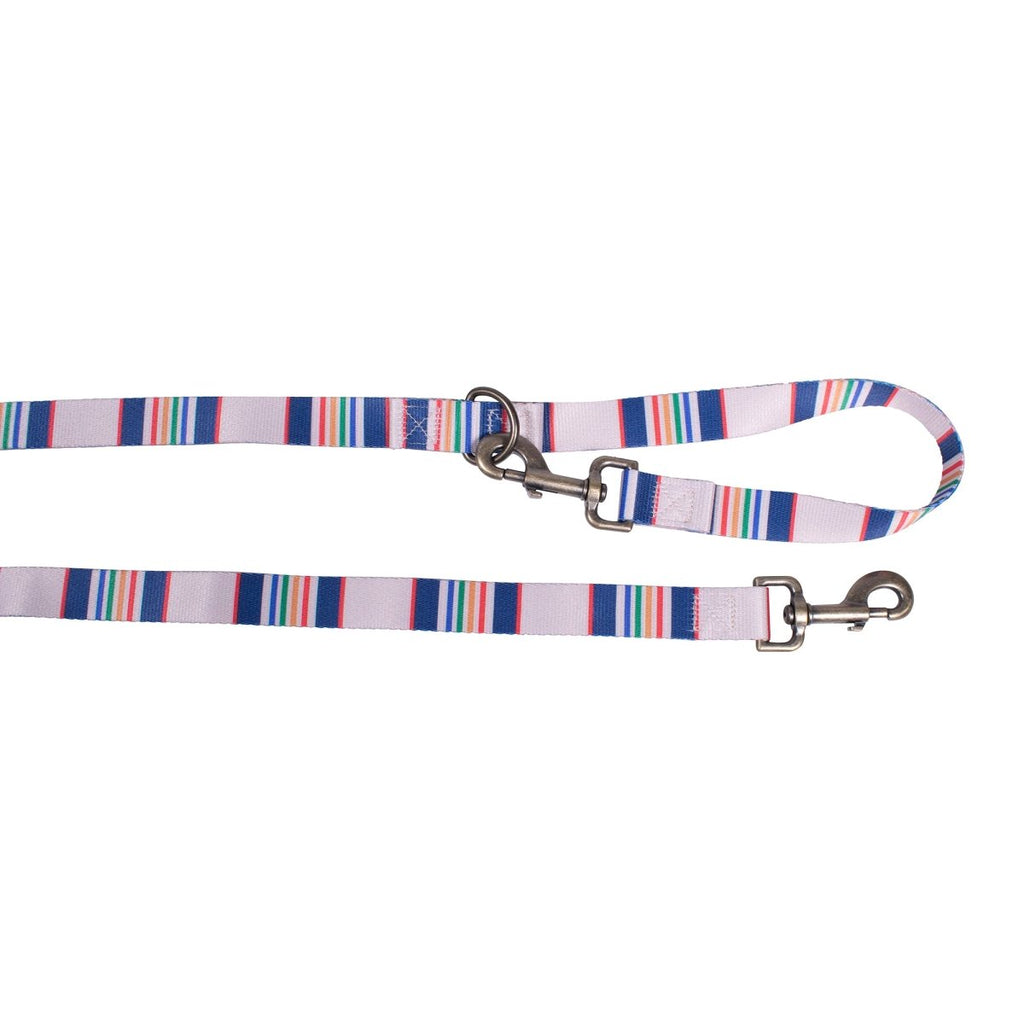 Pendleton National Park Adventure Leash - Paranoid Ranch
