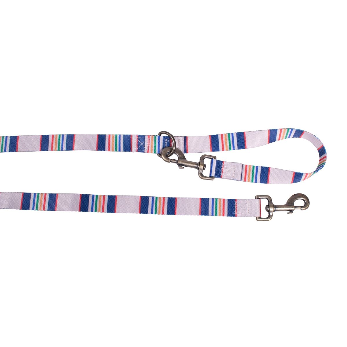 Pendleton National Park Adventure Leash - Paranoid Ranch