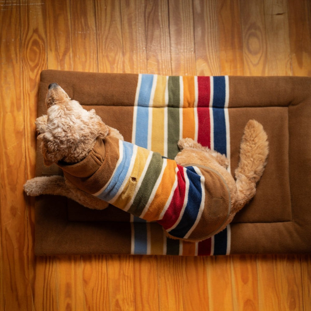 Pendleton National Park Comfort Cushion - Paranoid Ranch