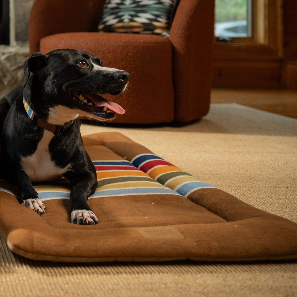 Pendleton National Park Comfort Cushion - Paranoid Ranch