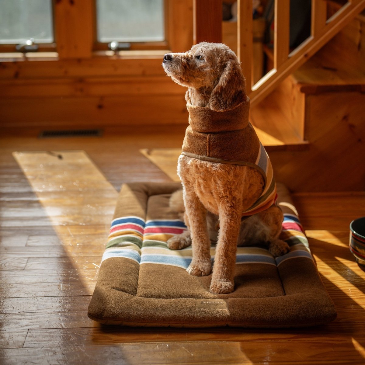 Pendleton National Park Dog Vest - Paranoid Ranch