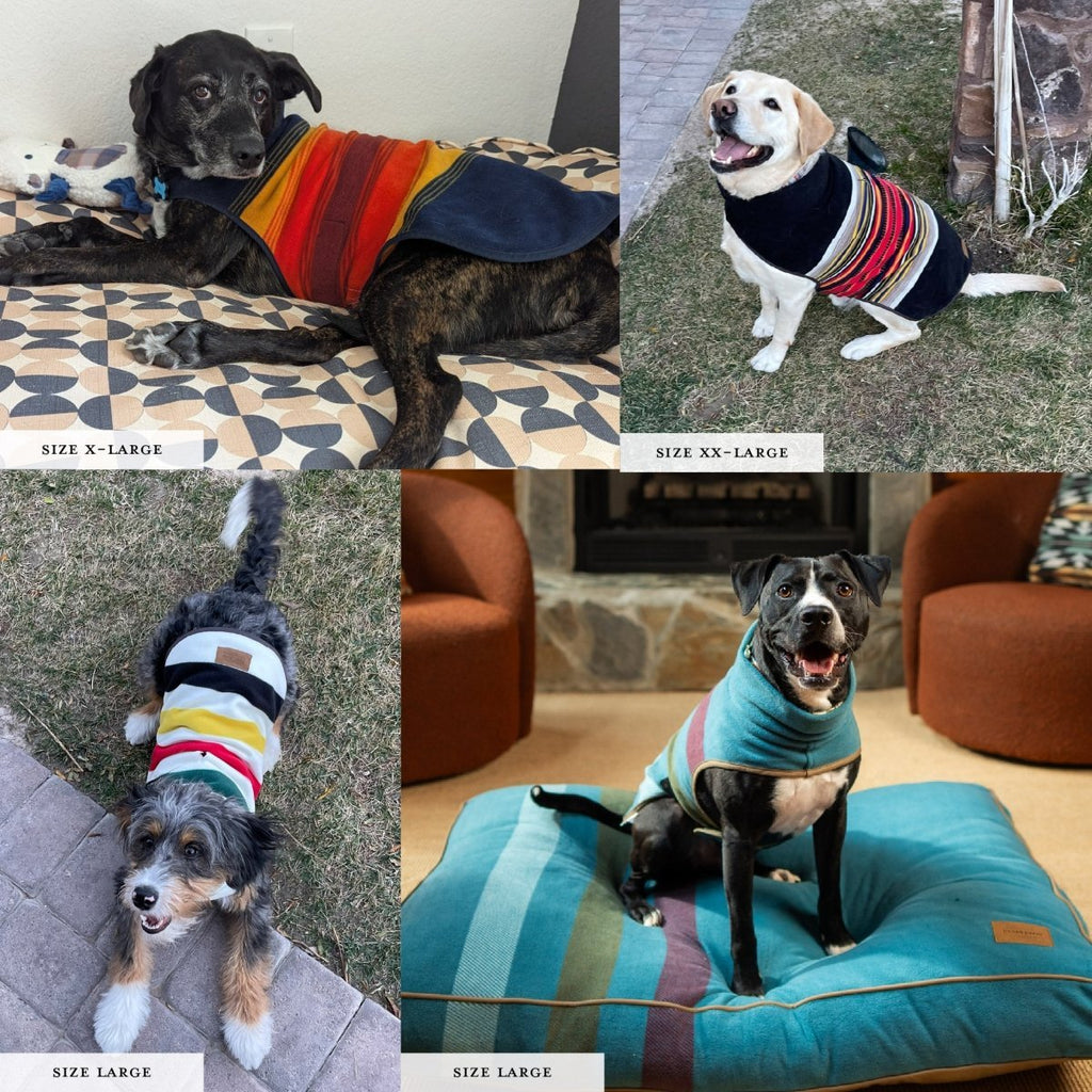 Pendleton National Park Dog Vest - Paranoid Ranch