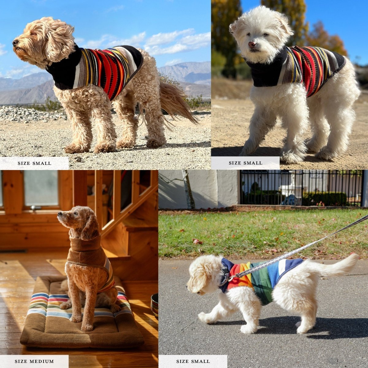 Pendleton National Park Dog Vest - Paranoid Ranch