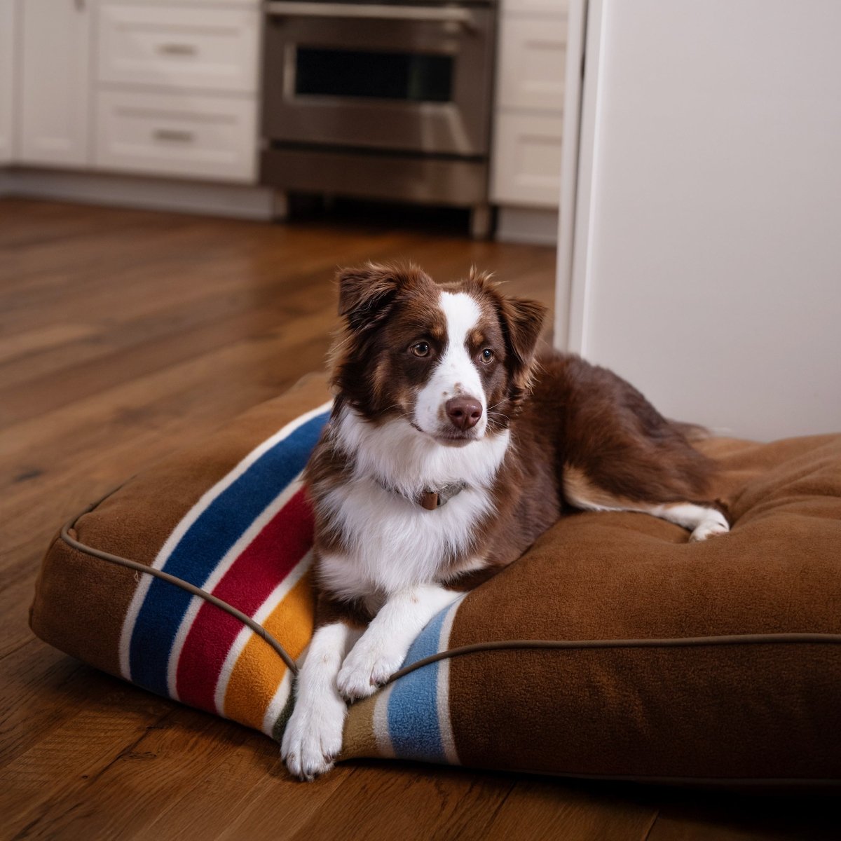 Pendleton National Park Pet Napper - Paranoid Ranch