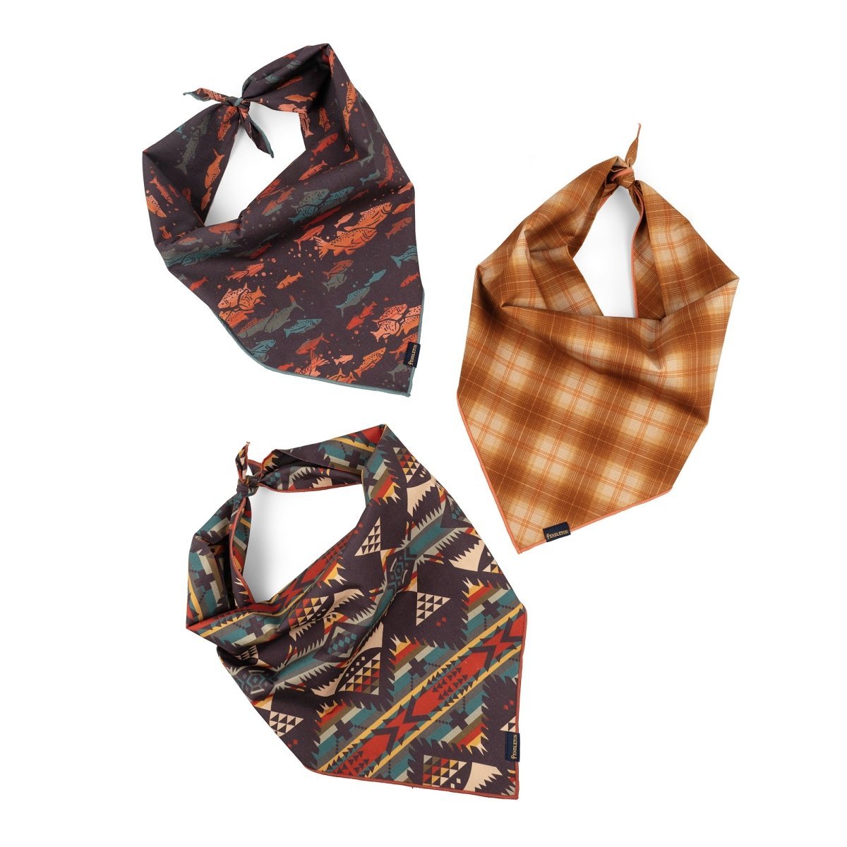 Pendleton Pet Bandana Multipack - Paranoid Ranch