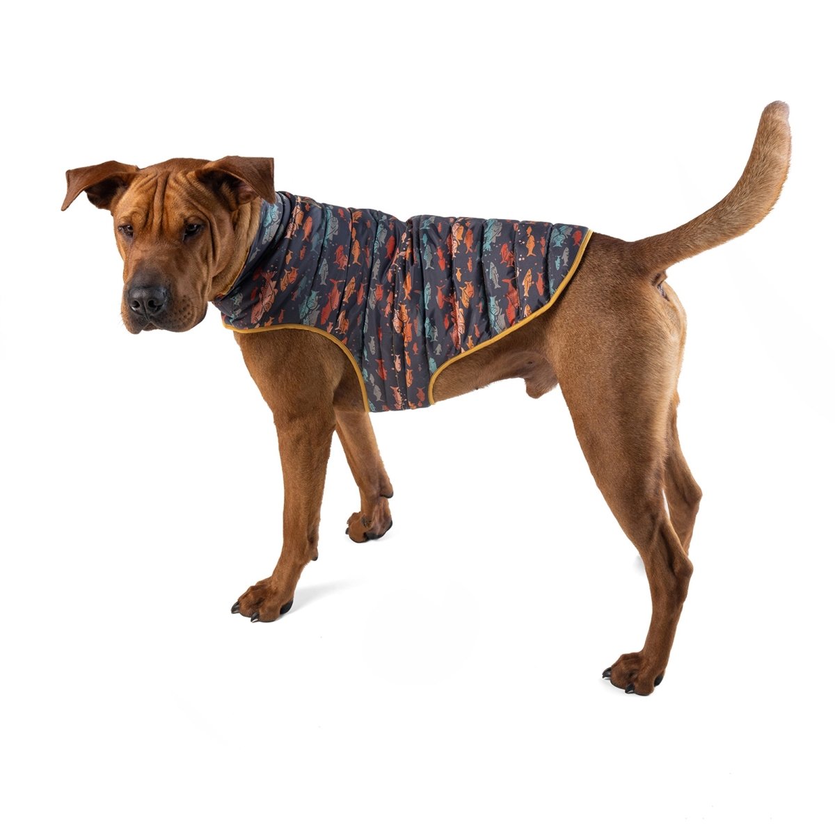 Pendleton Pet Puffer Coat - Paranoid Ranch