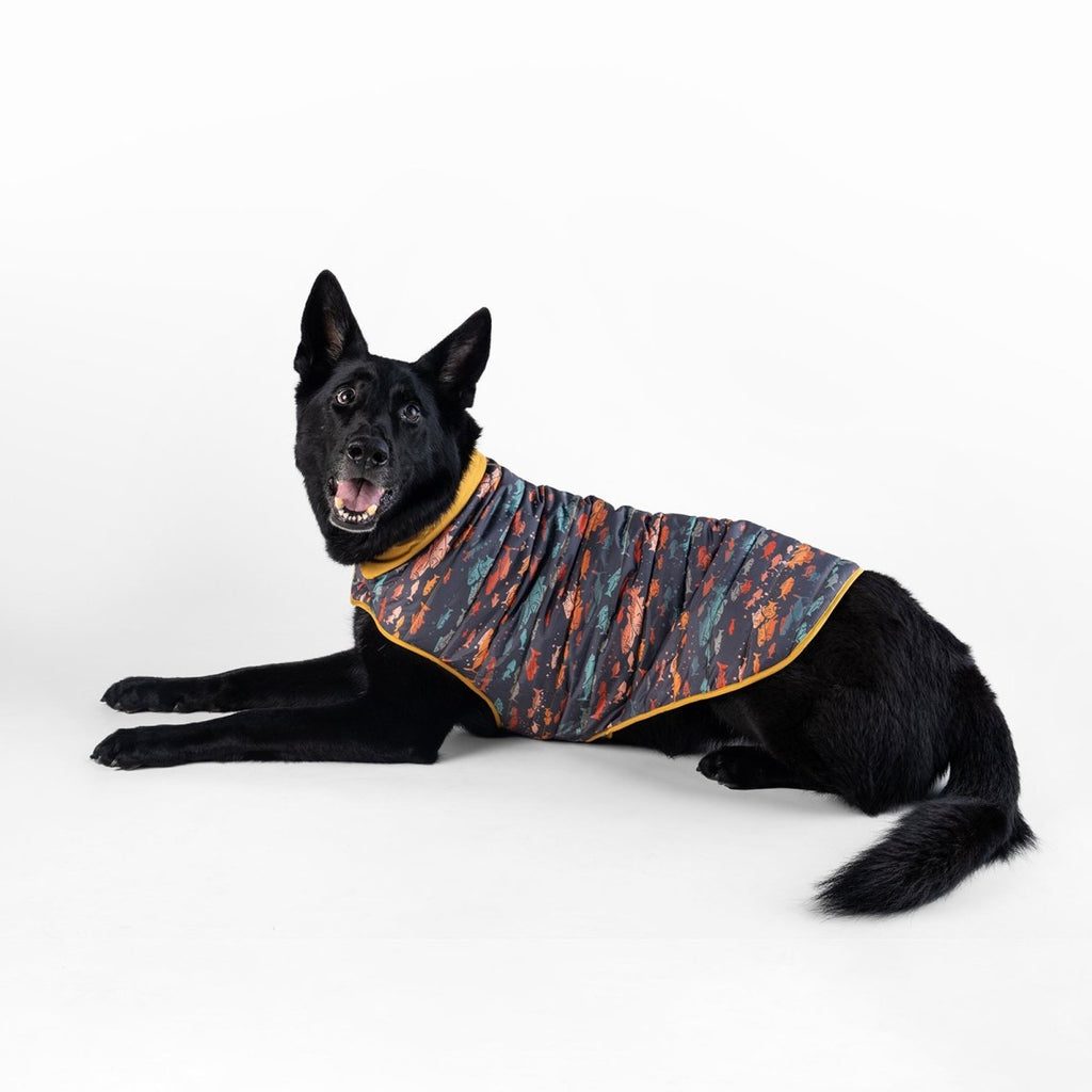 Pendleton Pet Puffer Coat - Paranoid Ranch