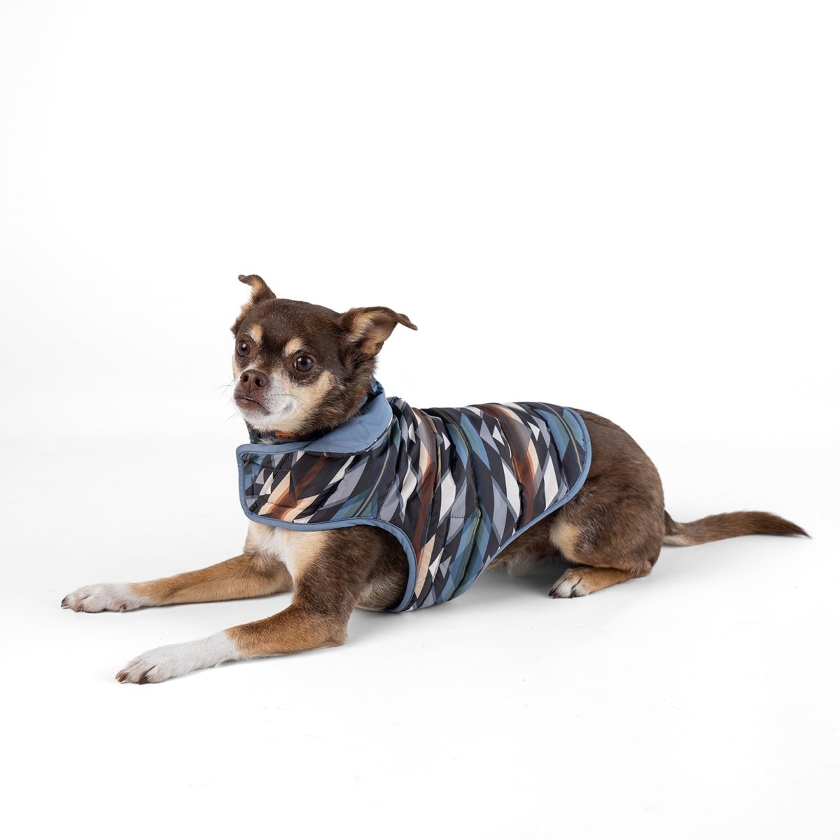 Pendleton Pet Puffer Coat - Paranoid Ranch
