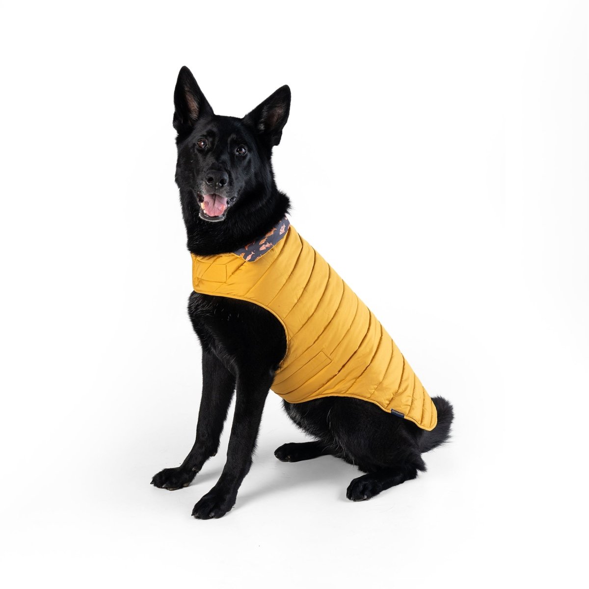 Pendleton Pet Puffer Coat - Paranoid Ranch