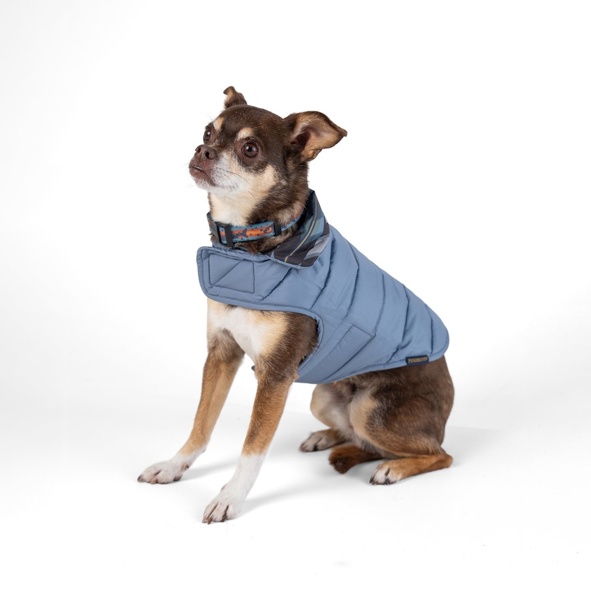 Pendleton Pet Puffer Coat - Paranoid Ranch