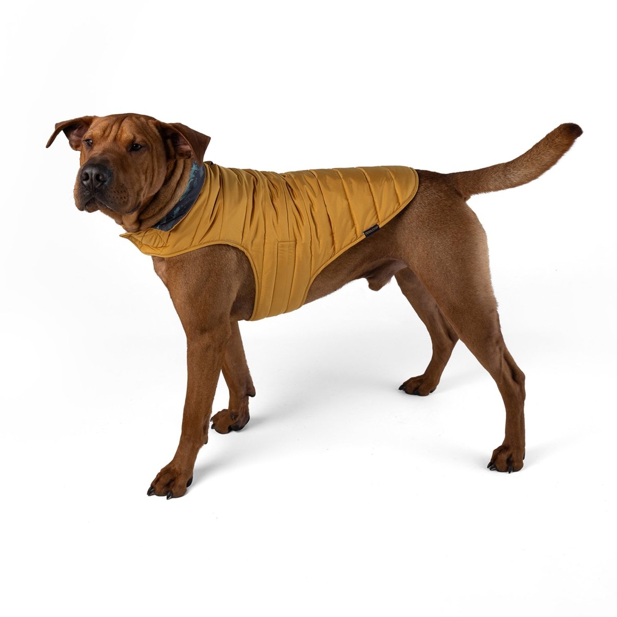 Pendleton Pet Puffer Coat - Paranoid Ranch