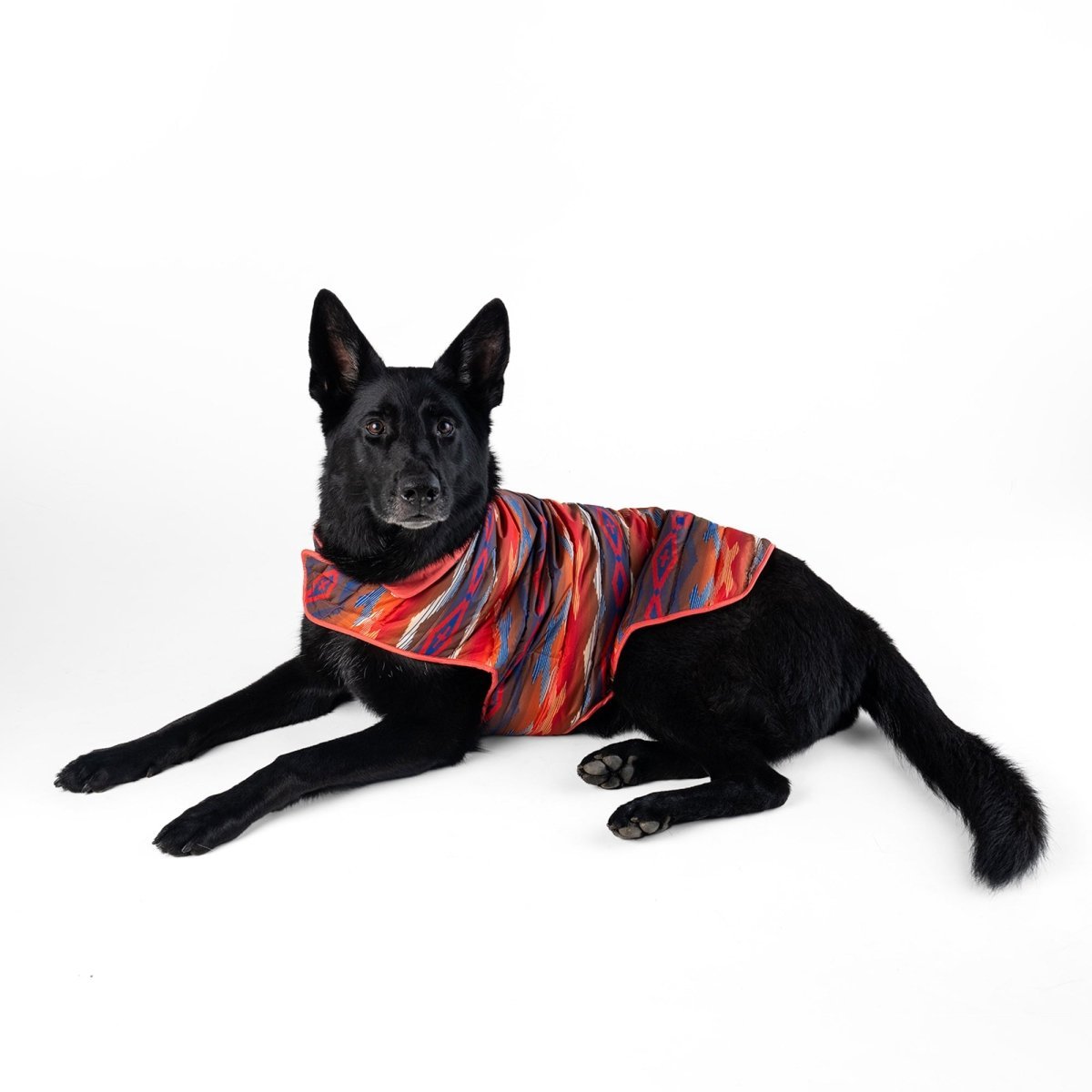 Pendleton Pet Puffer Coat - Paranoid Ranch