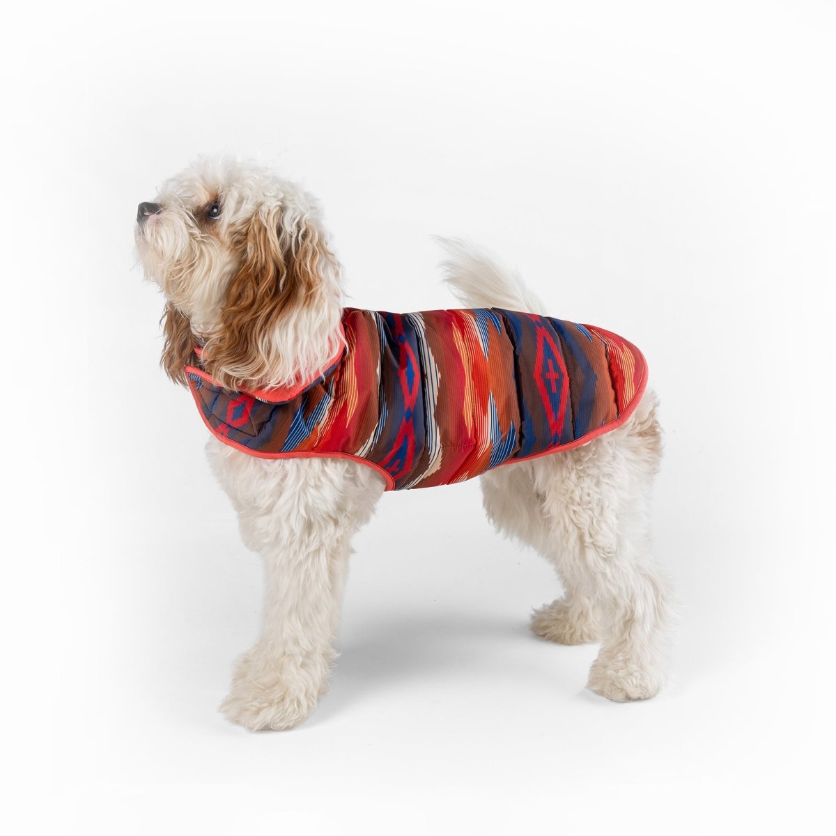 Pendleton Pet Puffer Coat - Paranoid Ranch