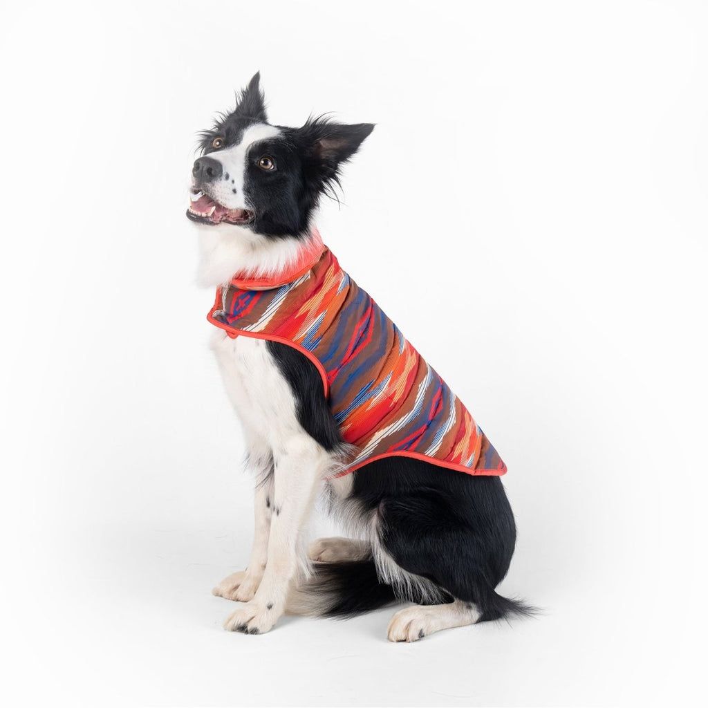 Pendleton Pet Puffer Coat - Paranoid Ranch