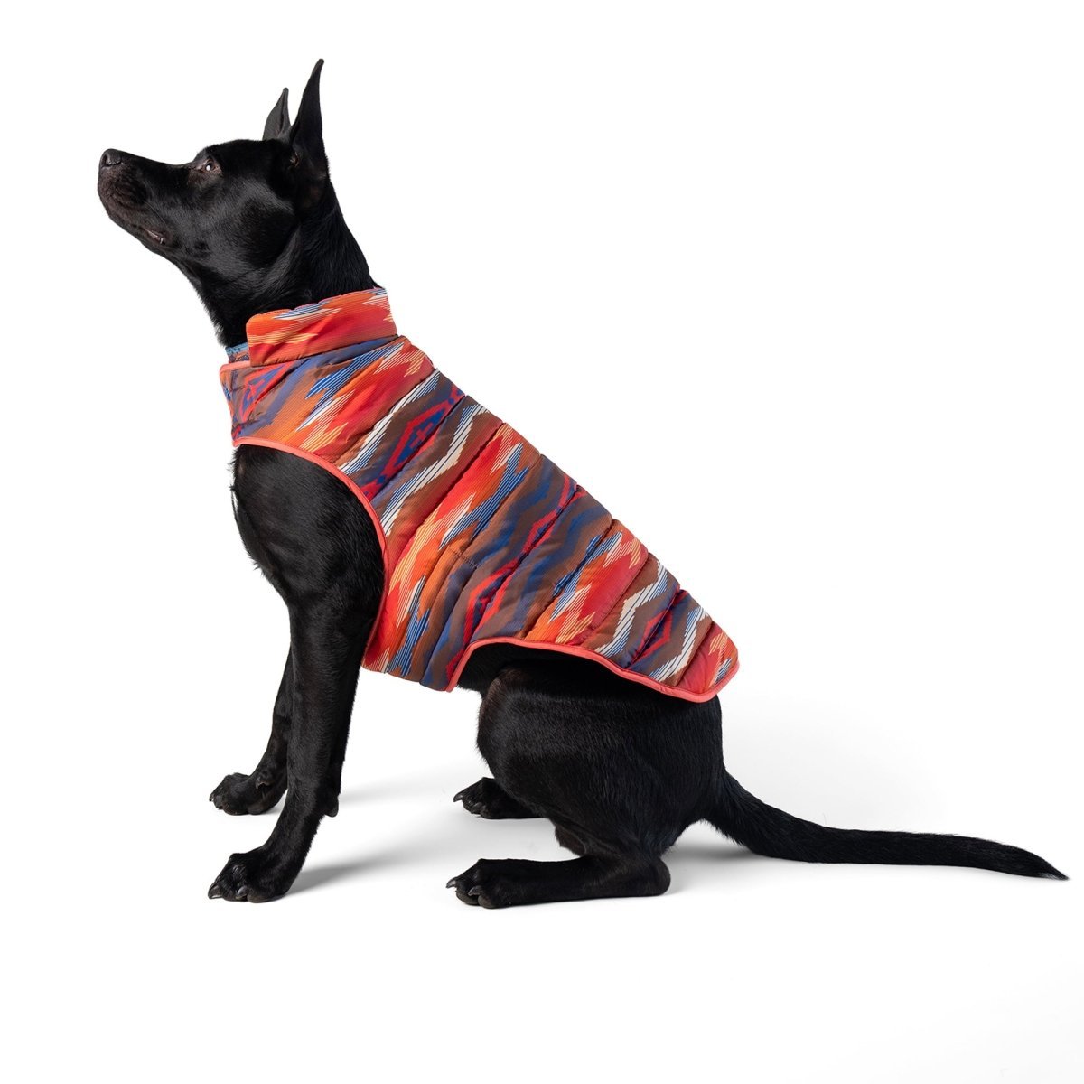 Pendleton Pet Puffer Coat - Paranoid Ranch