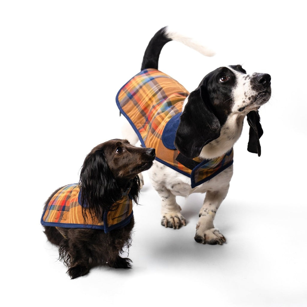 Pendleton Plaid Pet Coat - Paranoid Ranch