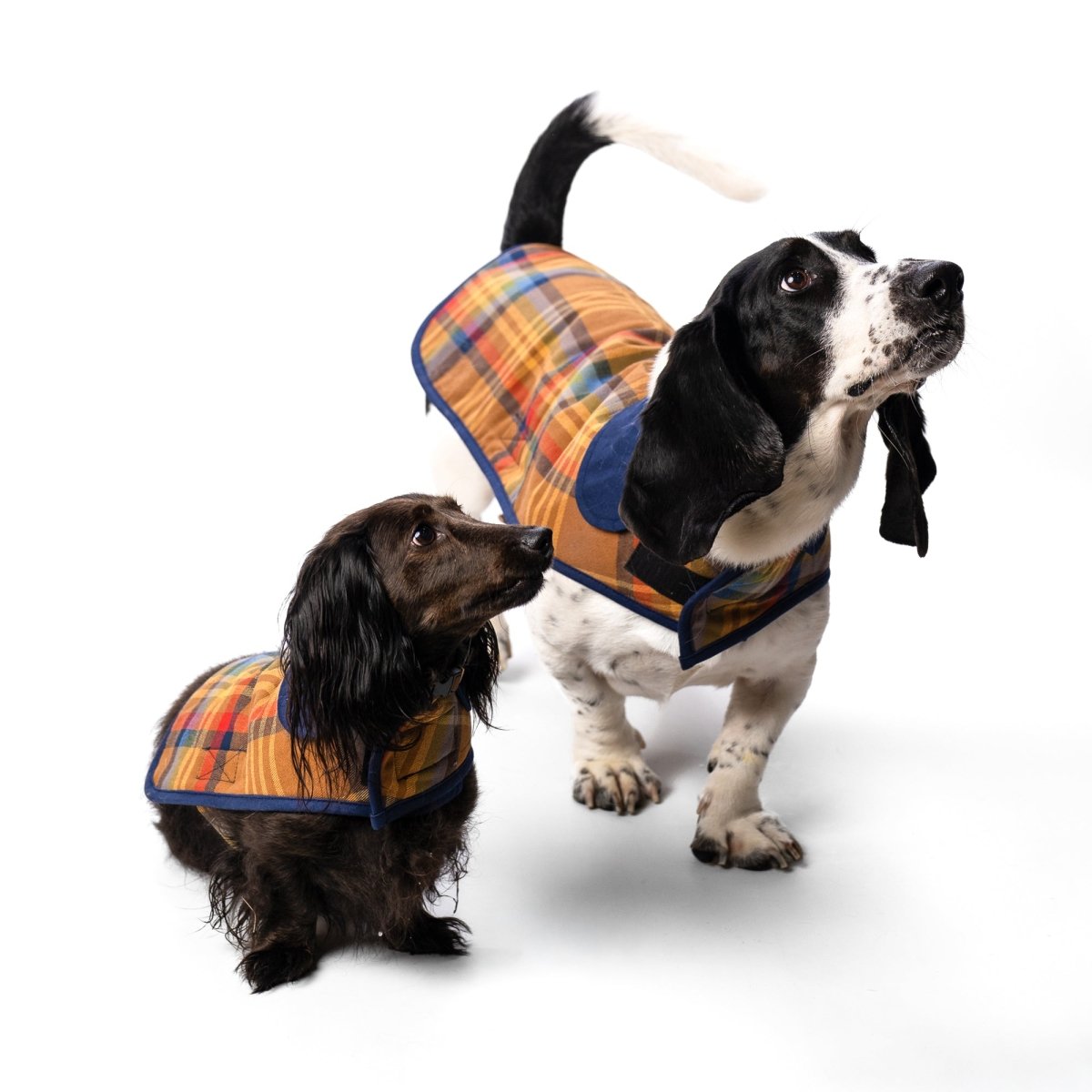 Pendleton Plaid Pet Coat - Paranoid Ranch