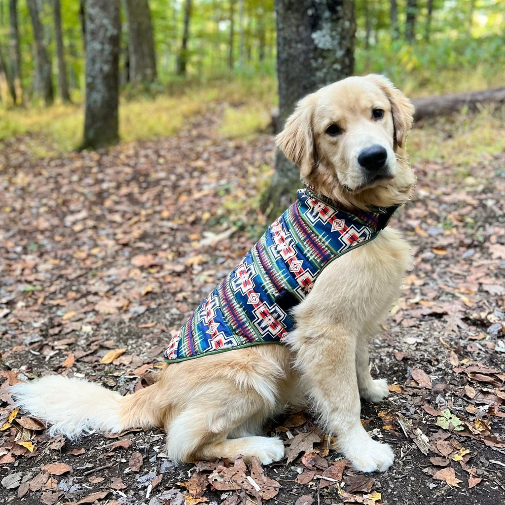 Pendleton Puffer Dog Coat - Paranoid Ranch