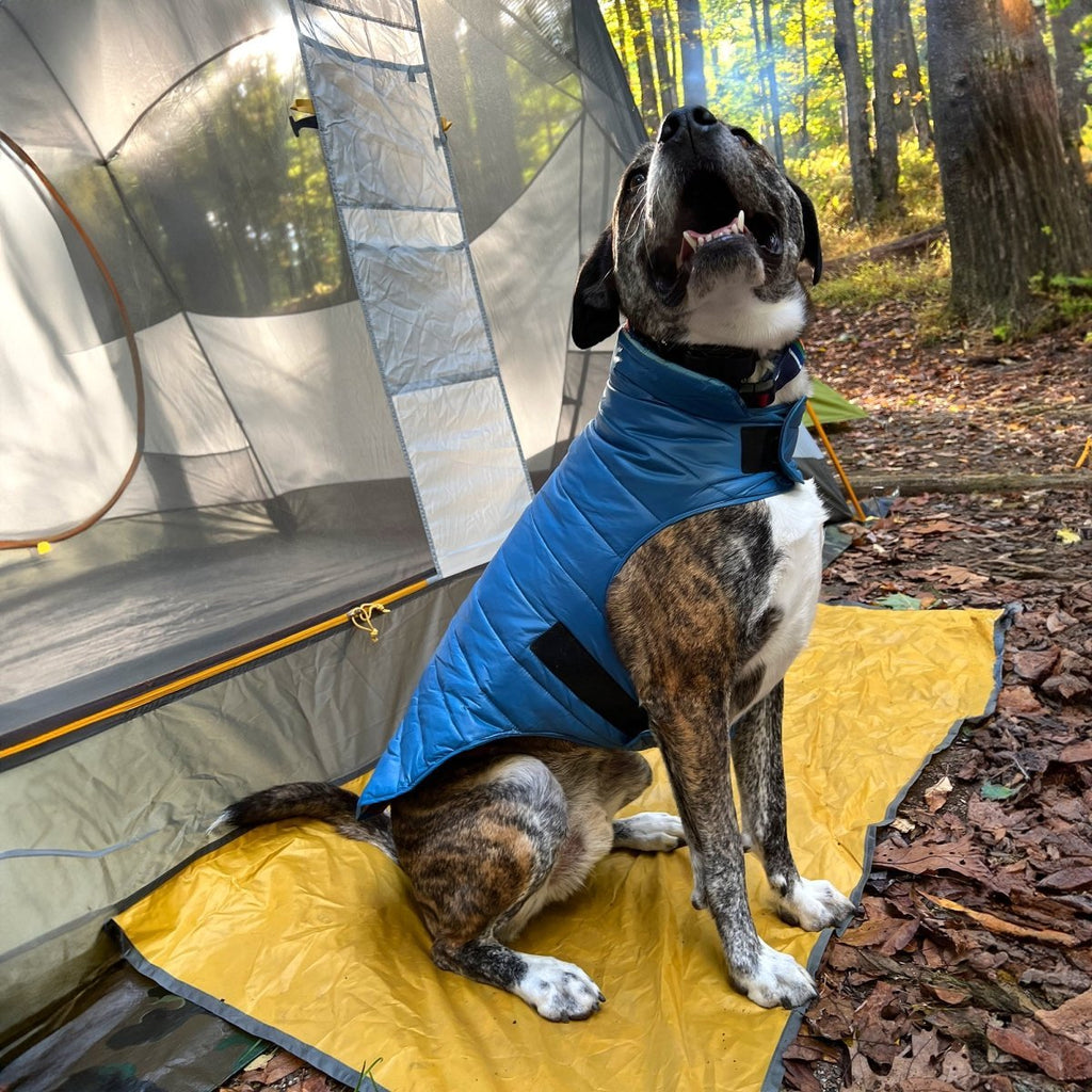 Pendleton Puffer Dog Coat - Paranoid Ranch
