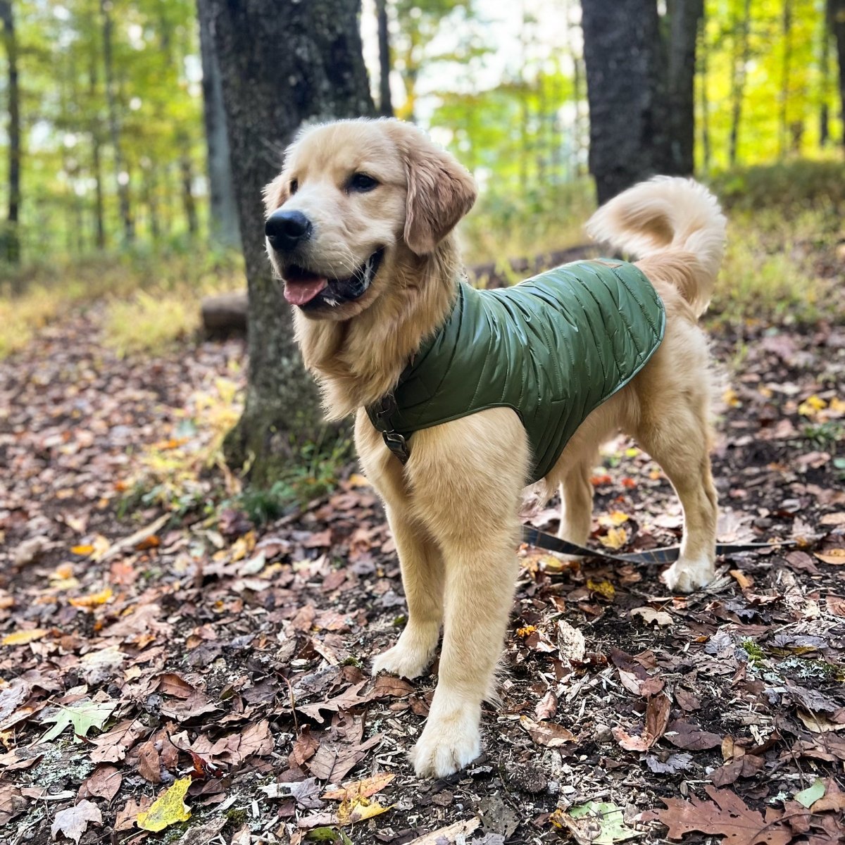 Pendleton Puffer Dog Coat - Paranoid Ranch