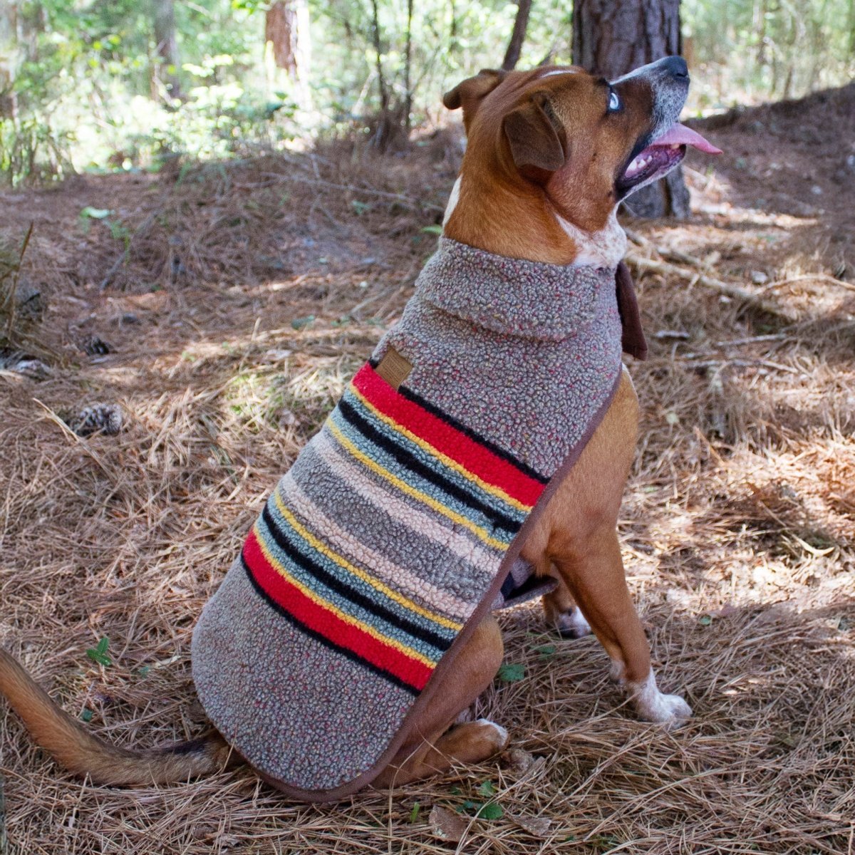 Pendleton Vintage Camp Dog Coat - Paranoid Ranch