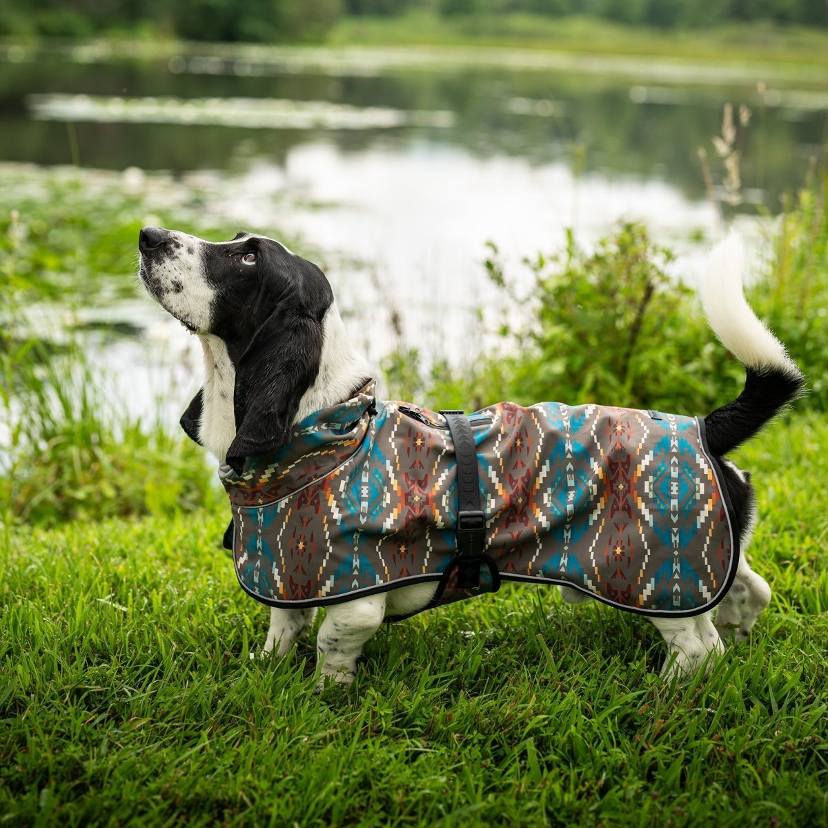 Pendleton Waterproof Adventure Pet Coat - Paranoid Ranch