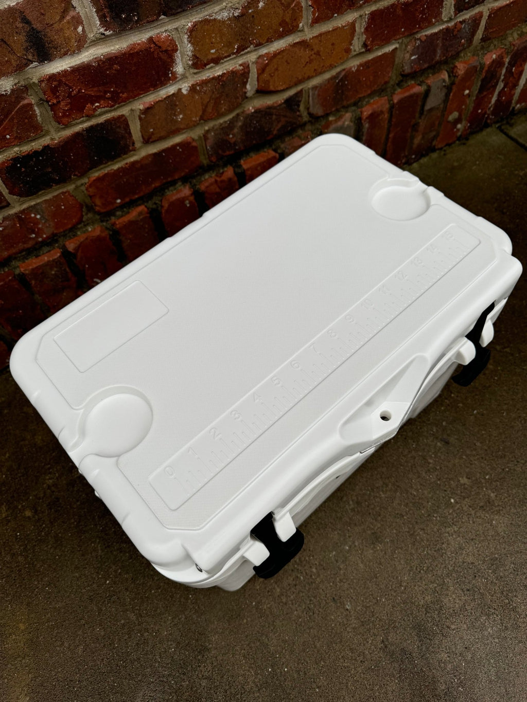 Polar Bear 20 Hard Cooler - Paranoid Ranch