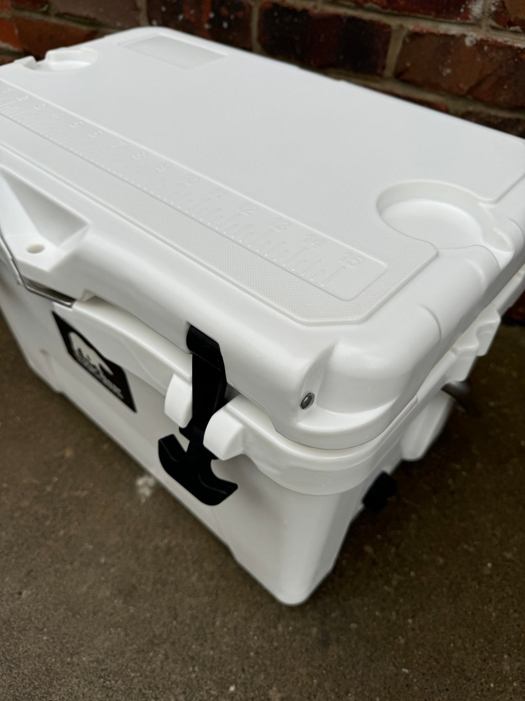 Polar Bear 20 Hard Cooler - Paranoid Ranch