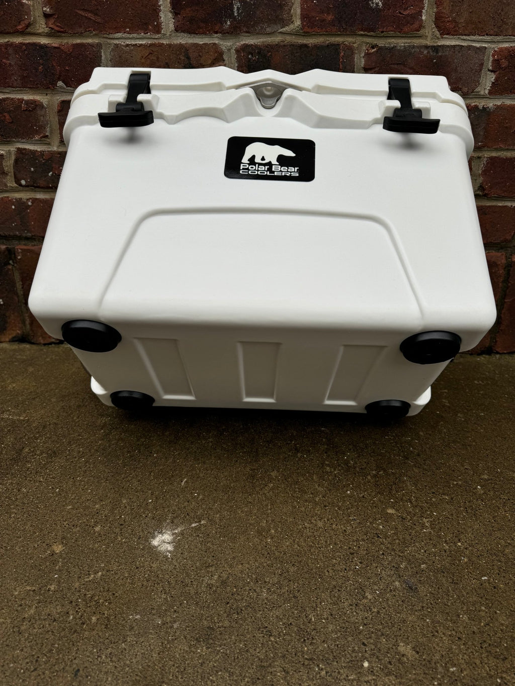 Polar Bear 20 Hard Cooler - Paranoid Ranch