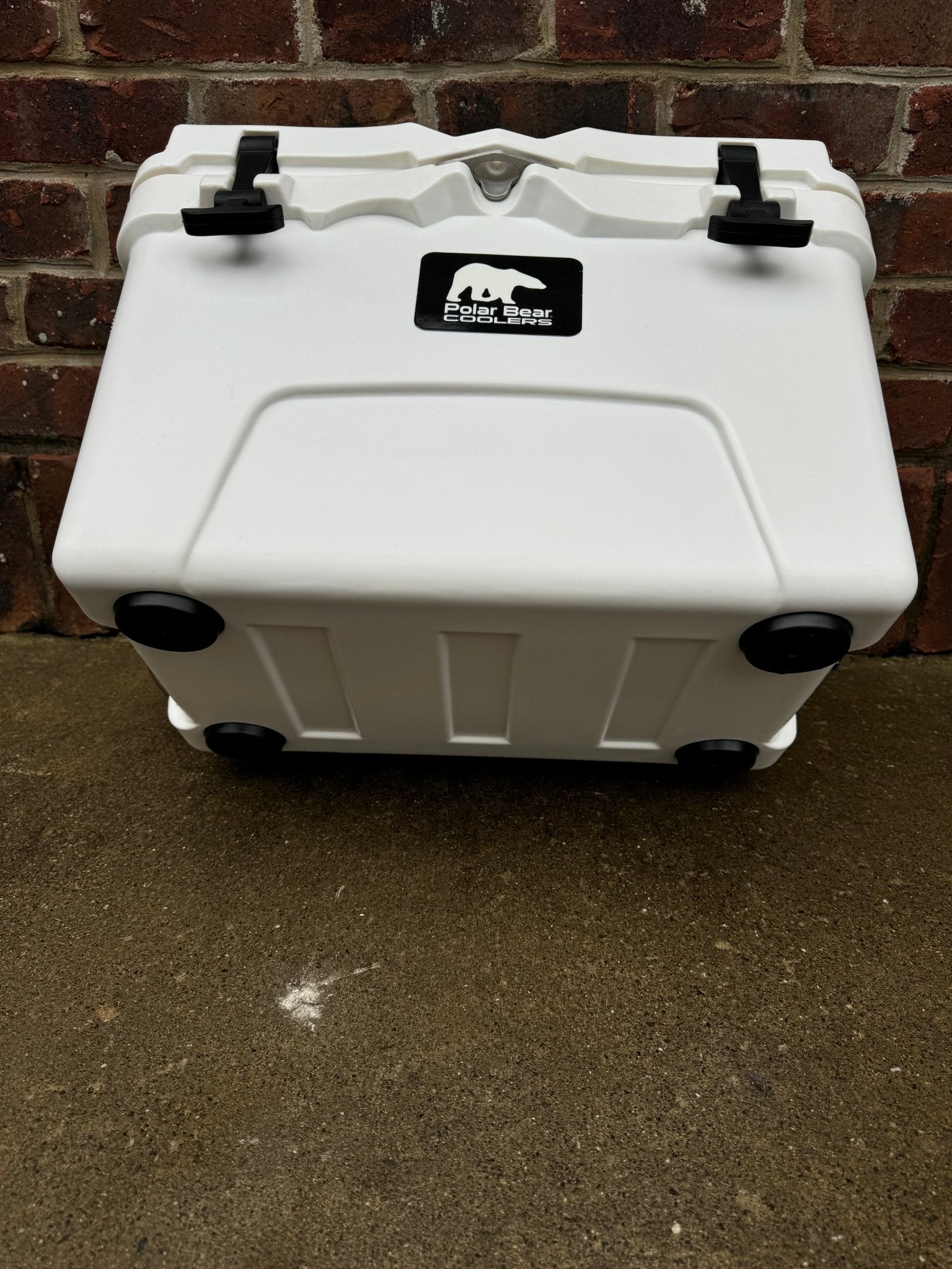 Polar Bear 20 Hard Cooler - Paranoid Ranch