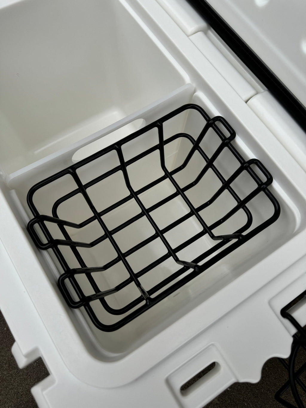 Polar Bear 20 Hard Cooler - Paranoid Ranch