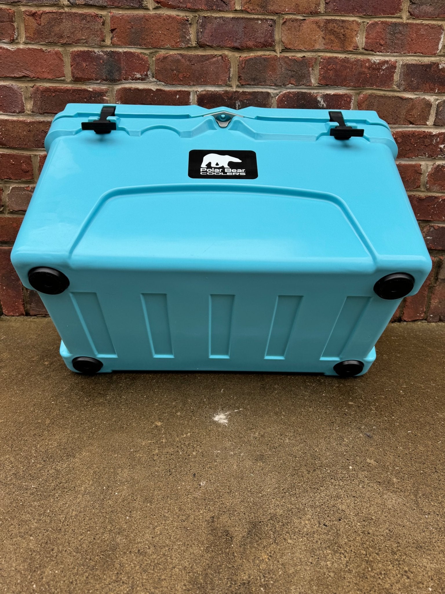 Polar Bear 45 Hard Coolers - Paranoid Ranch