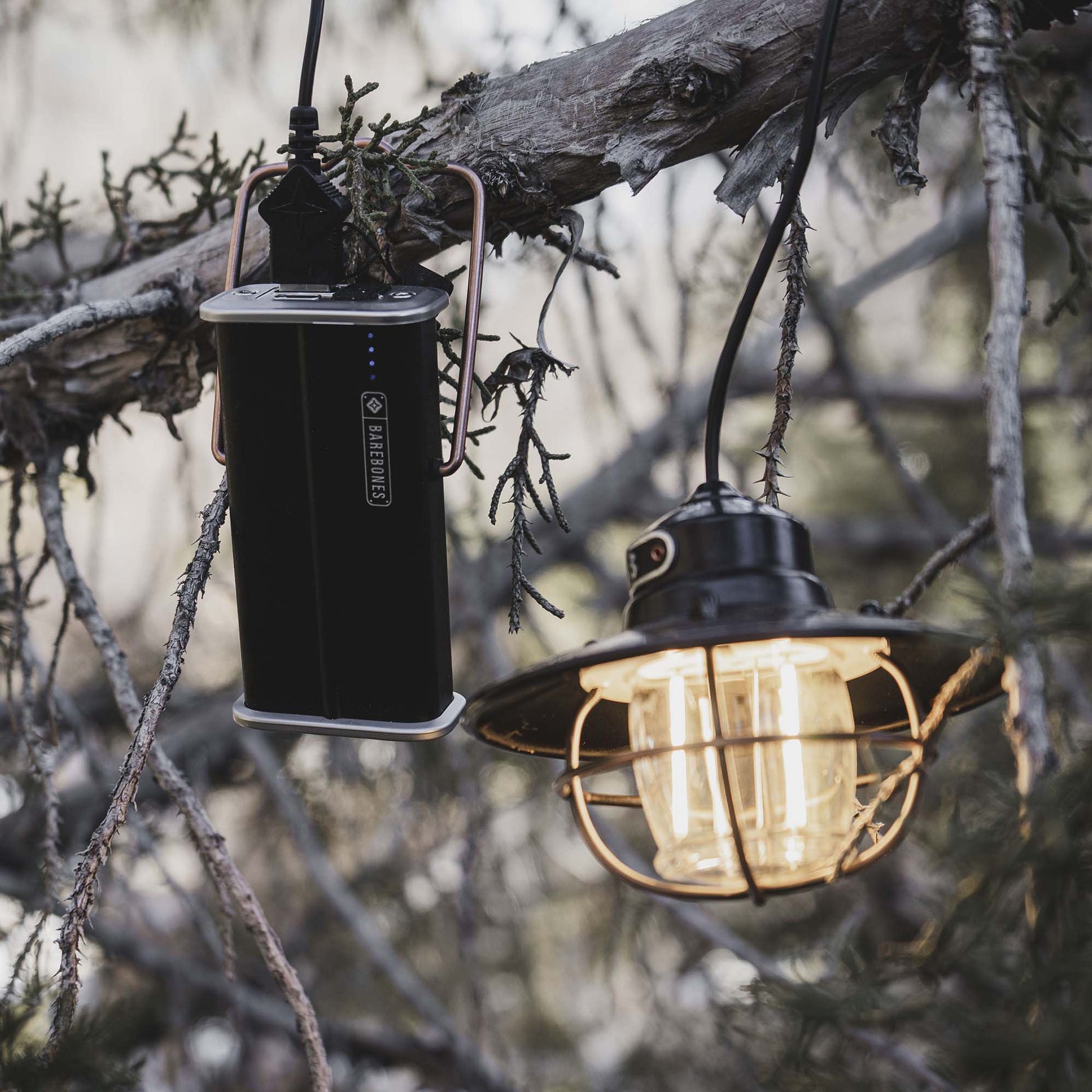 Power Bank - 5000 mAh - Paranoid Ranch
