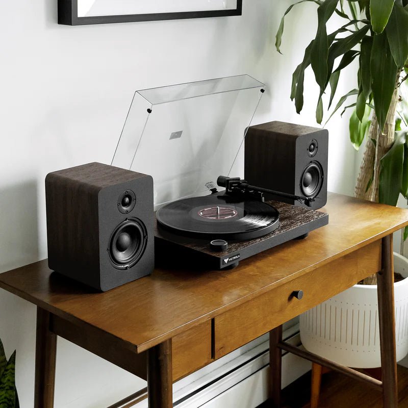 Premiere T1 Turntable System - Paranoid Ranch
