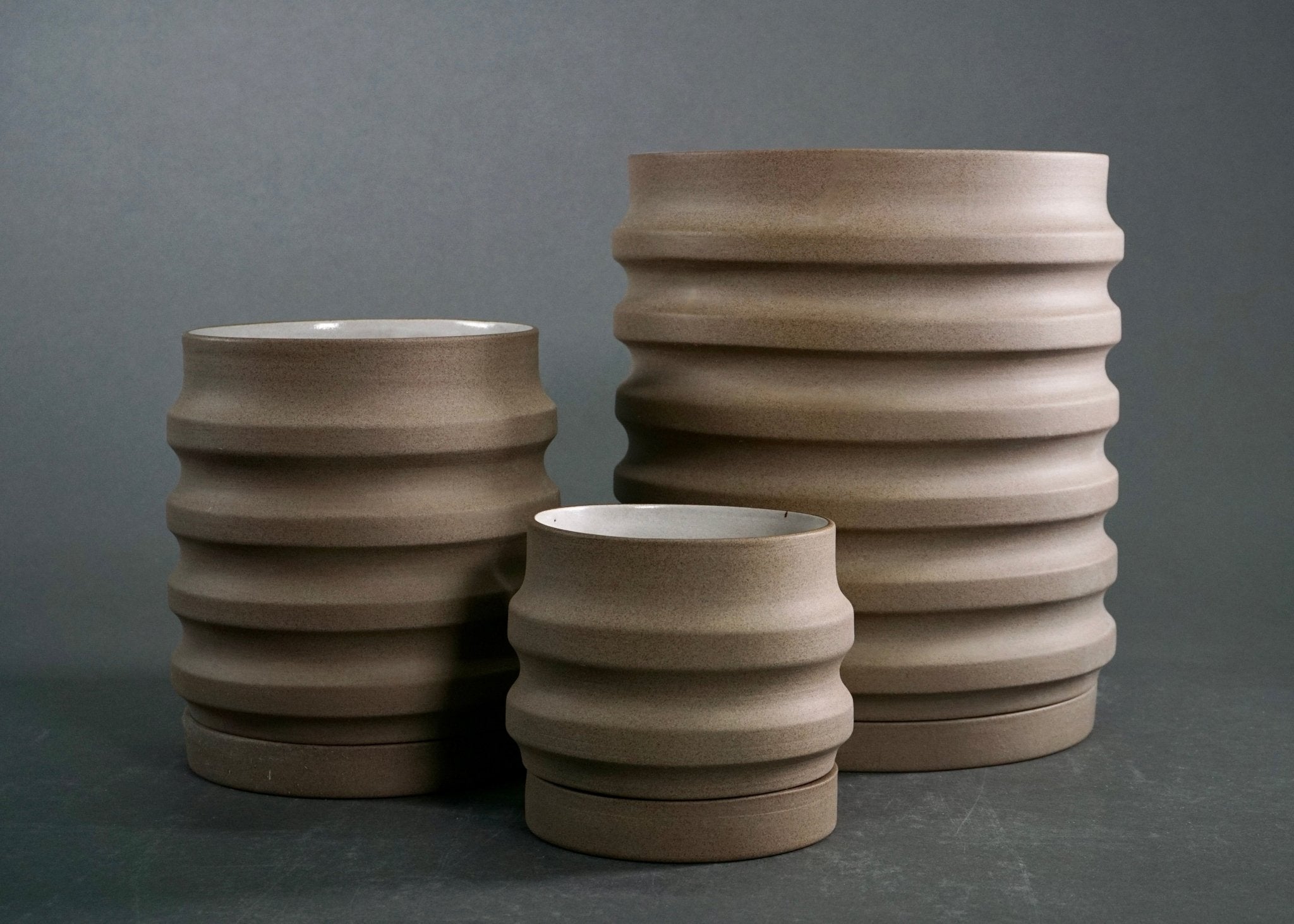 Primera Planters - Paranoid Ranch