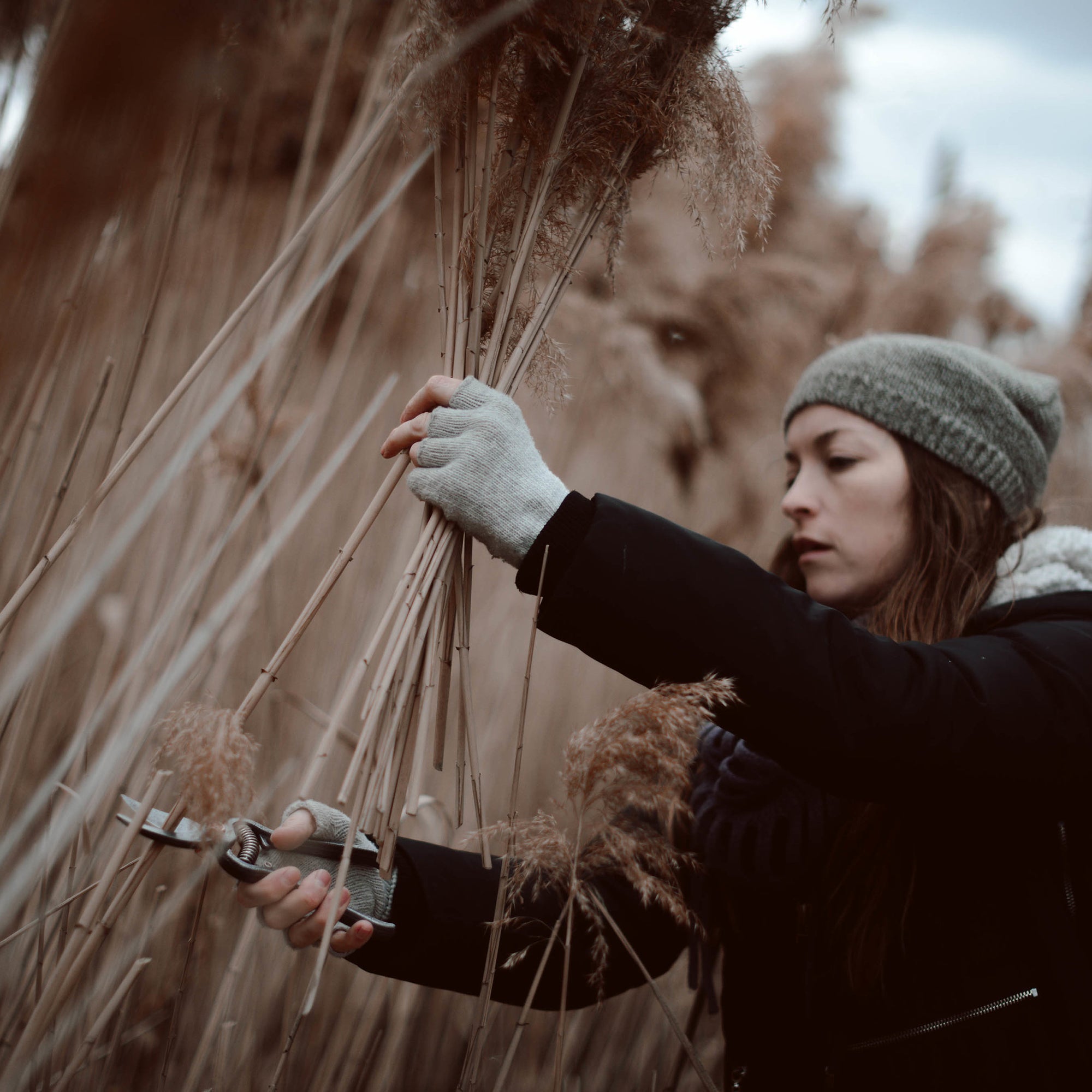 Pruner - Paranoid Ranch