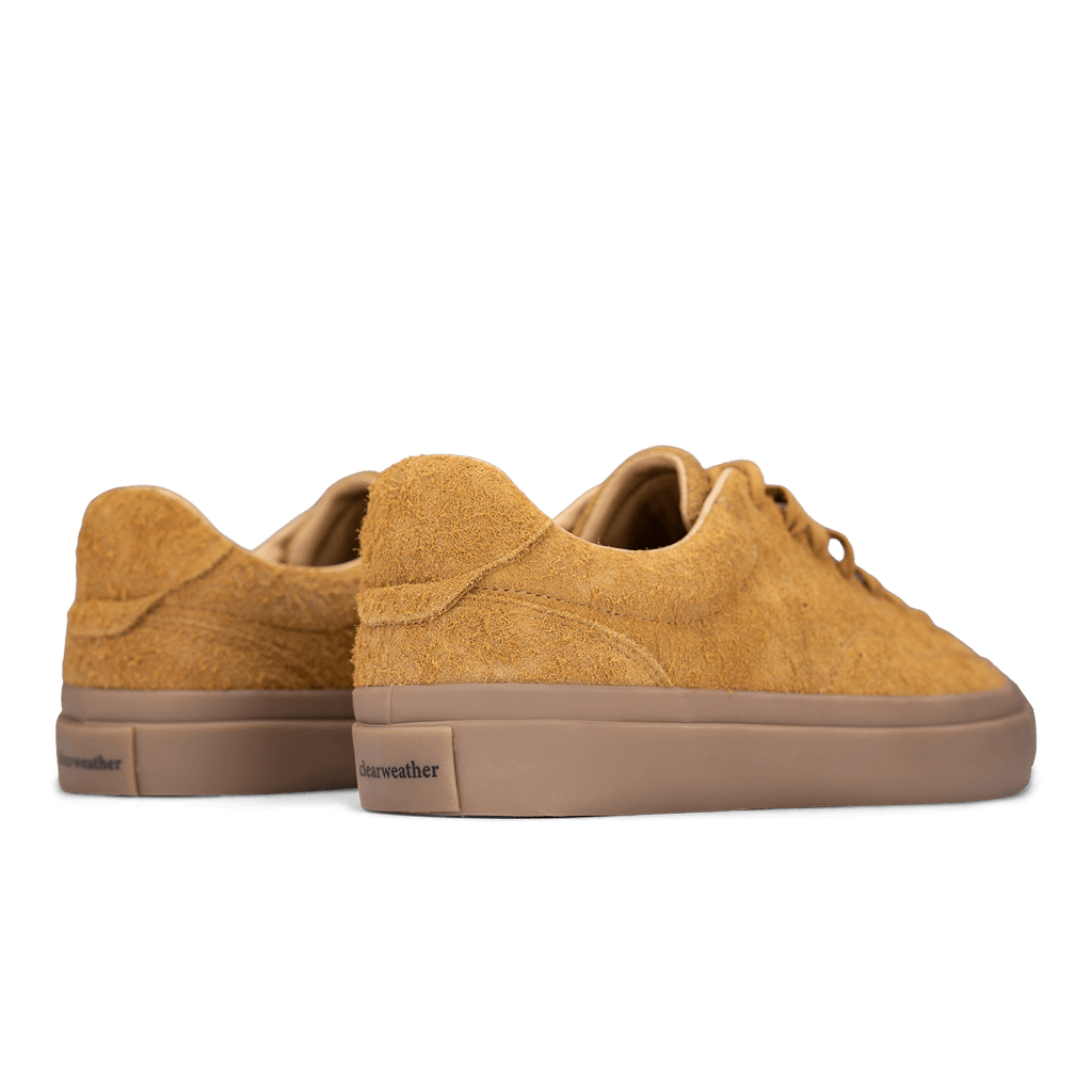 QUALIFIER - Paranoid Ranch