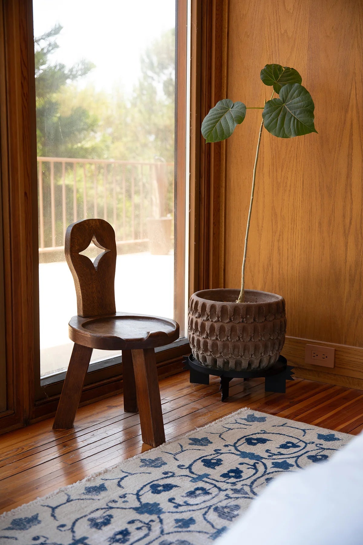 REED - Black | Plant Stand - Paranoid Ranch