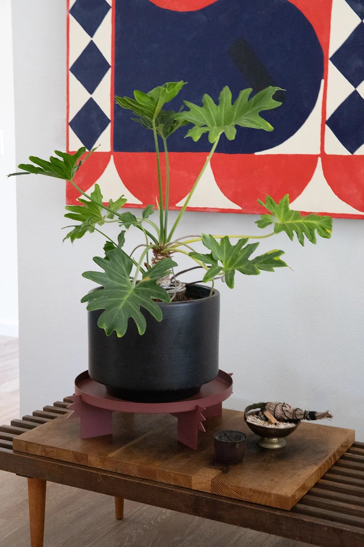 REED - Rose | Plant Stand - Paranoid Ranch