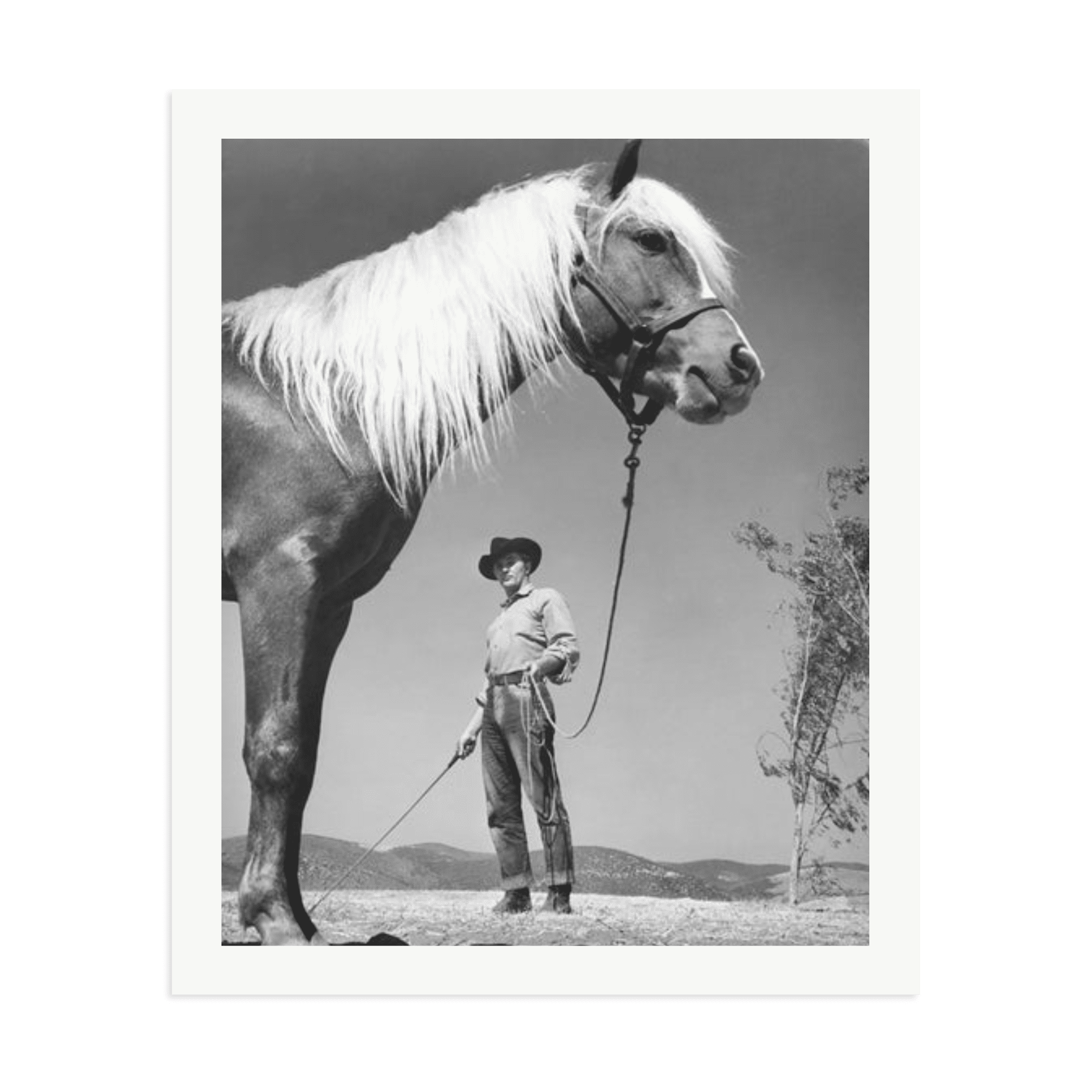 Robert Mitchum - 'The Red Pony' - Paranoid Ranch