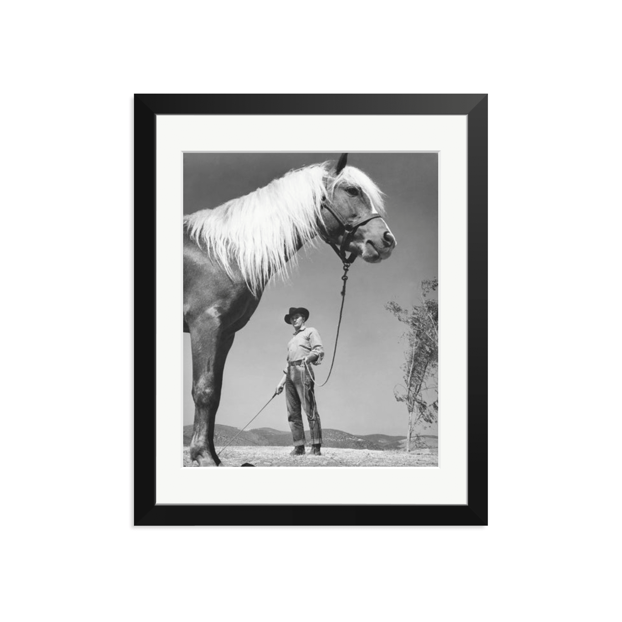 Robert Mitchum - 'The Red Pony' - Paranoid Ranch